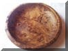 Eucalypt Burl