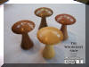 Mushroom ear ring holders.